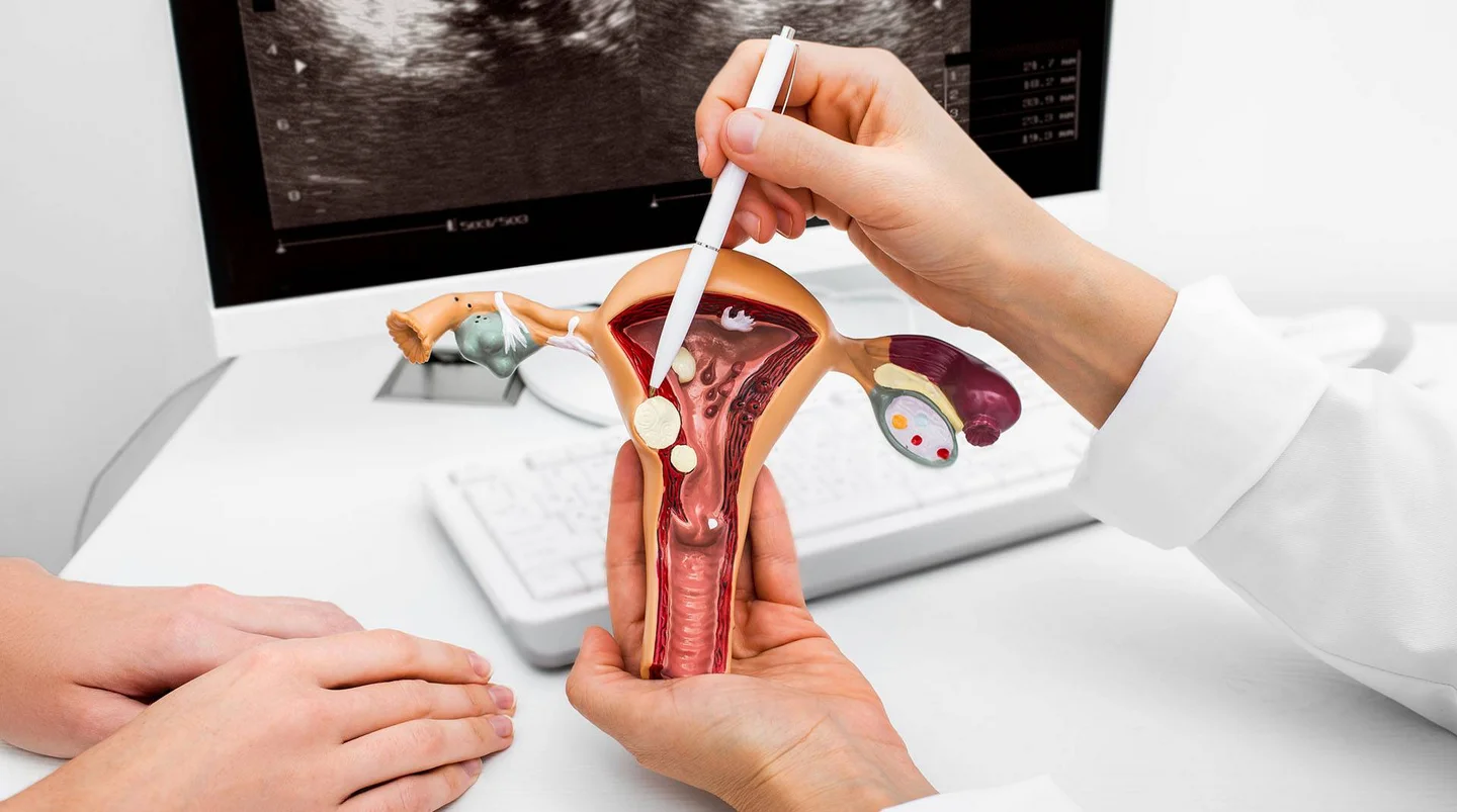Jemand im weißen Kittel zeigt auf ein Modell der Gebärmutter.