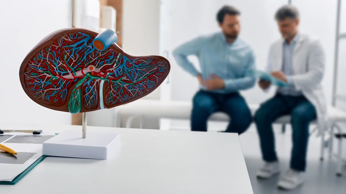 Hepatitis C: Im Vordergrund steht ein Modell der Leber auf einem Tisch. Im Hintergrund sitzen ein Arzt und ein Patient. Der Patient hält sich den rechten Oberbauch in der Lebergegend.