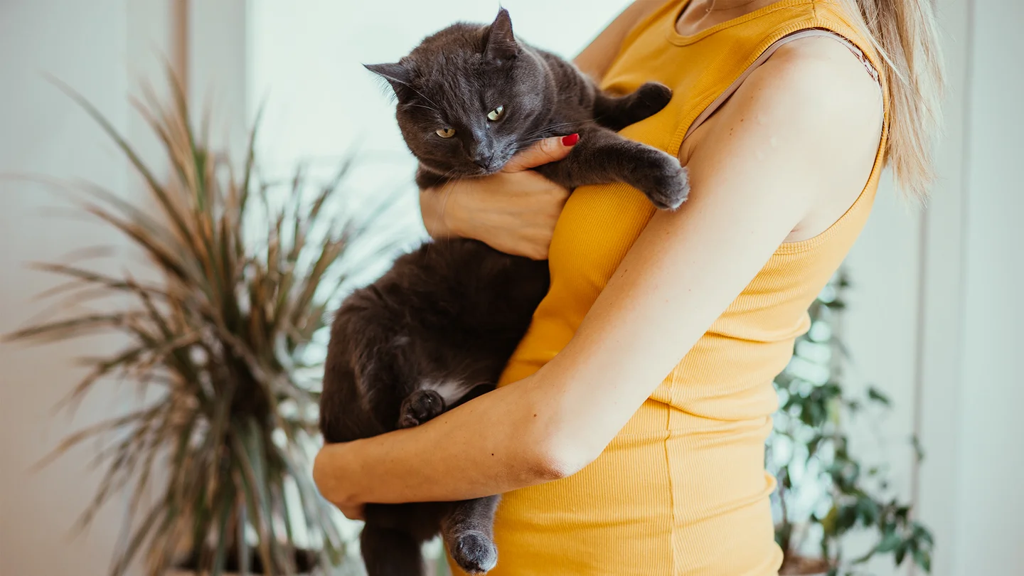 Eine schwangere Frau hält eine Katze auf dem Arm.