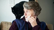 Eine Frau sitzt auf einem Stuhl, auf dessen Lehne ein Kater sitzt. Mit einer Hand h&auml;lt die Frau ein Taschentuch an ihr Gesicht.